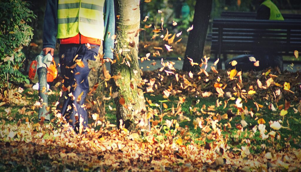 Professional Leaf Clearing