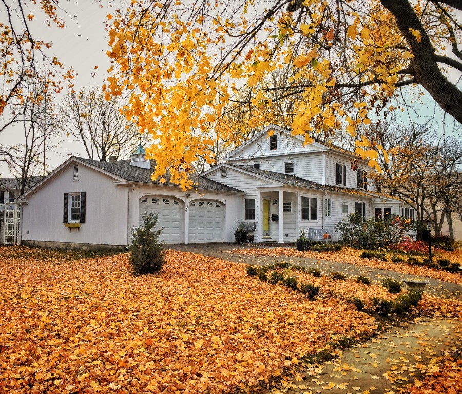 oakville season leaves